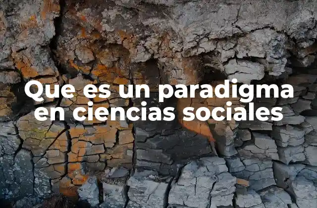 Que es un Paradigma en Ciencias Sociales 2 La importancia de los paradigmas en la producción del conocimiento