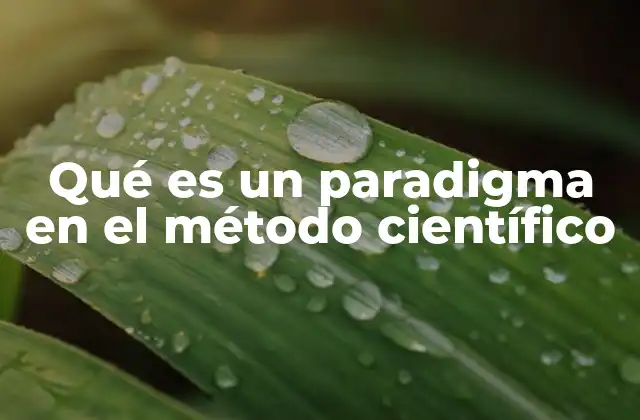 La influencia del paradigma en la investigación científica