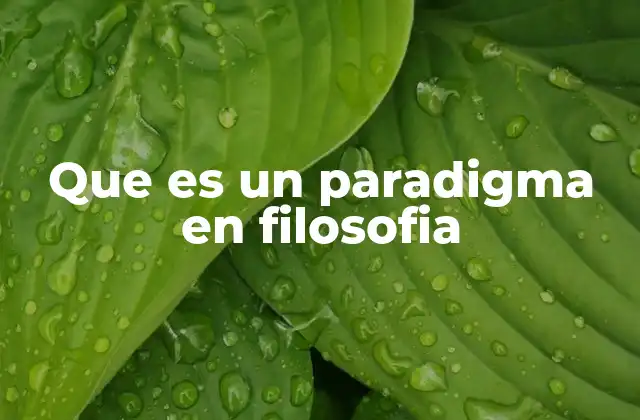Que es un Paradigma en Filosofia