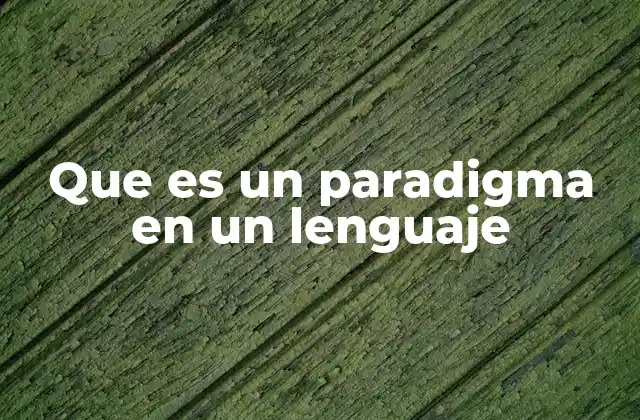 Que es un Paradigma en un Lenguaje