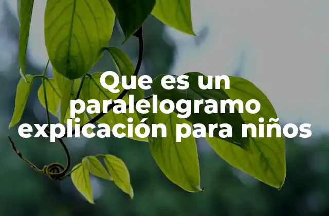 Que es un Paralelogramo Explicación para Niños