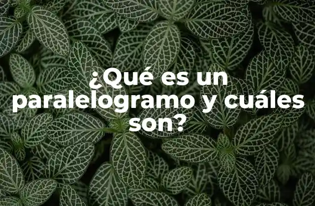 ¿qué es un Paralelogramo y Cuáles Son?