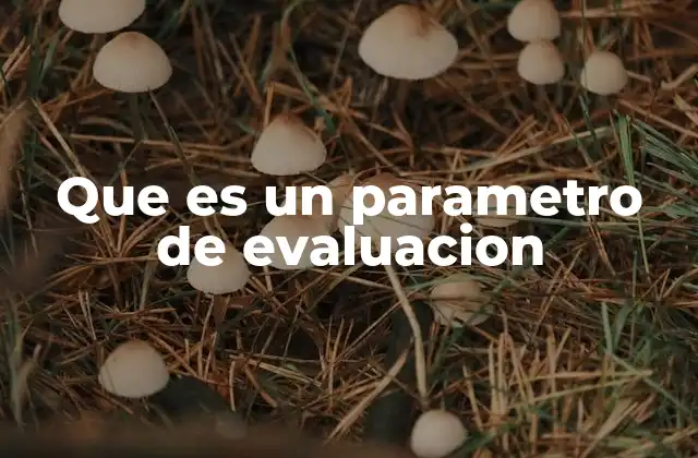 Que es un Parametro de Evaluacion