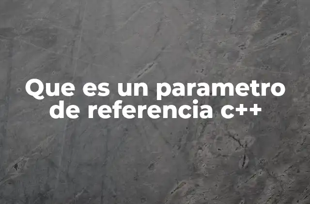 Que es un Parametro de Referencia C++