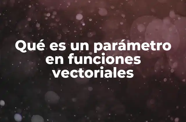 Qué es un Parámetro en Funciones Vectoriales