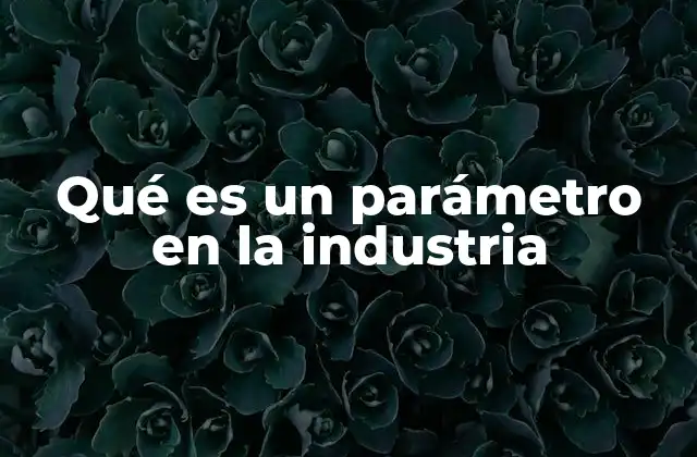Qué es un Parámetro en la Industria
