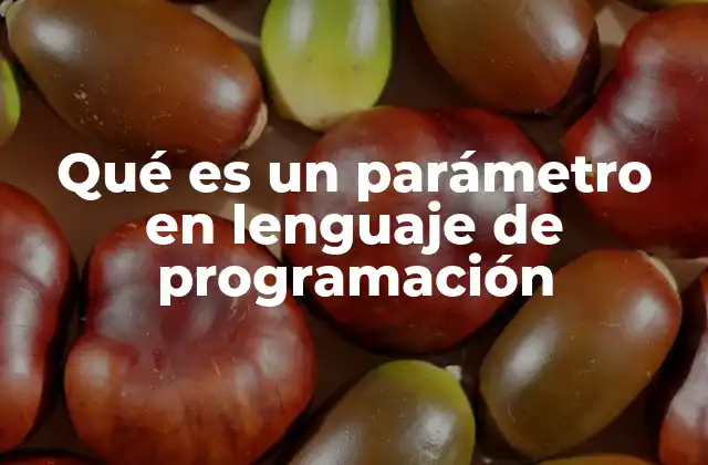 Qué es un Parámetro en Lenguaje de Programación