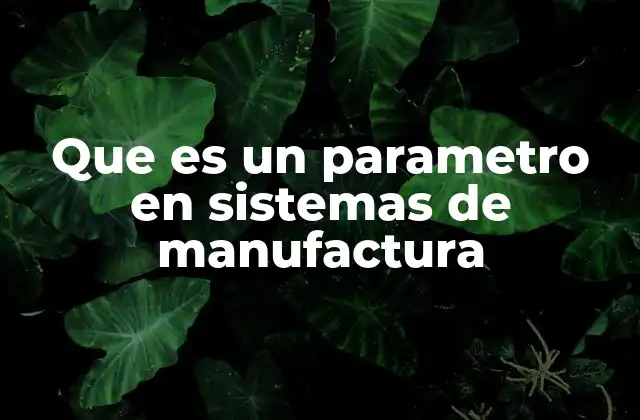 Que es un Parametro en Sistemas de Manufactura