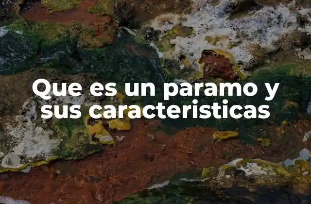 Que es un Paramo y Sus Caracteristicas