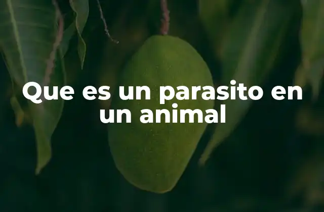 Que es un Parasito en un Animal
