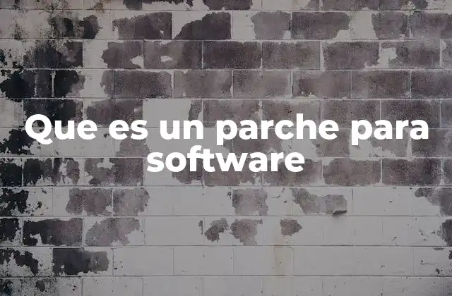 Que es un Parche para Software
