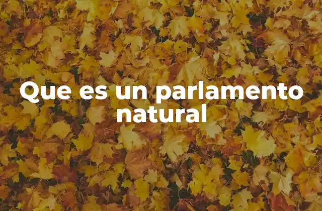 Que es un Parlamento Natural 2 La organización invisible en los ecosistemas