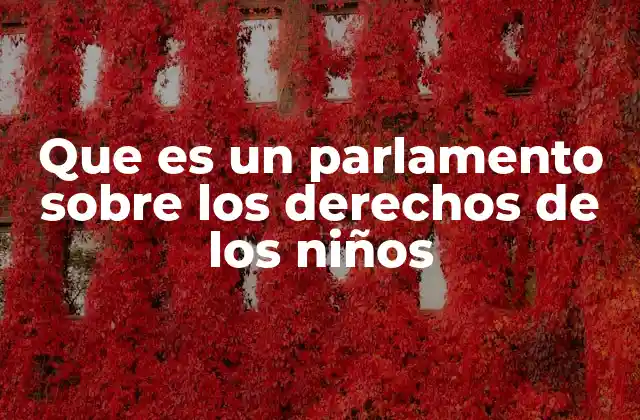 Que es un Parlamento sobre los Derechos de los Niños