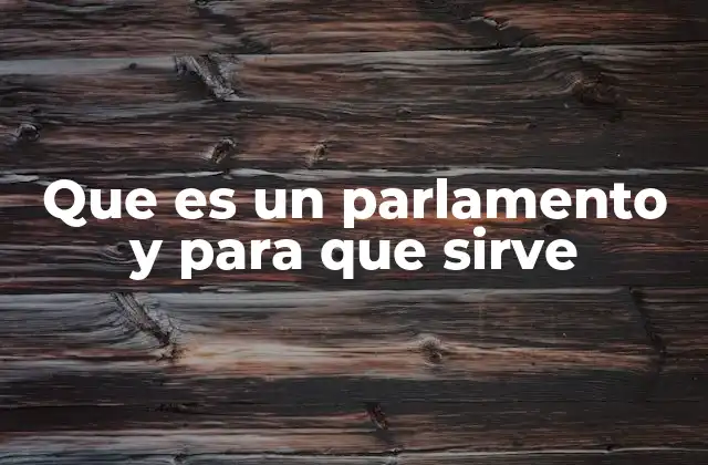 El papel del parlamento en la organización política