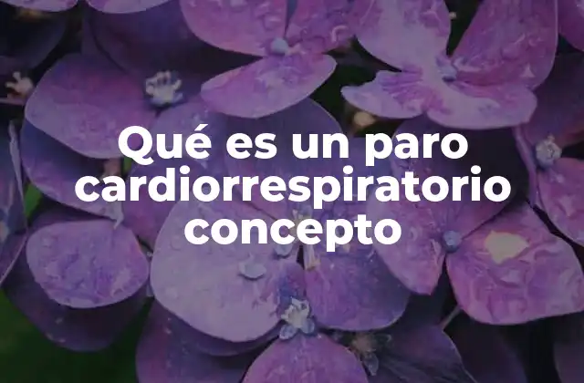 Qué es un Paro Cardiorrespiratorio Concepto 2 Causas y factores de riesgo del paro cardiorrespiratorio