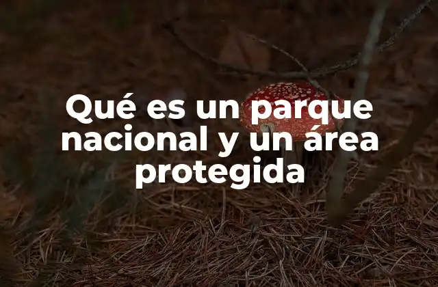 Qué es un Parque Nacional y un Área Protegida 2 La importancia de los espacios naturales bajo protección