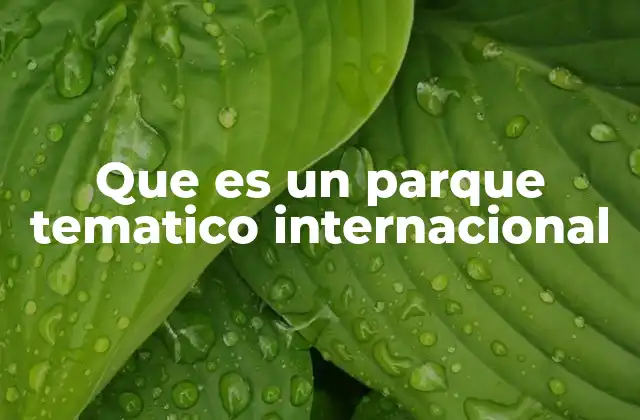 Que es un Parque Tematico Internacional