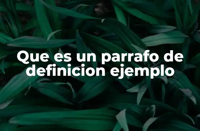 Que es un Parrafo de Definicion Ejemplo 2 La importancia de los ejemplos en la comprensión de conceptos