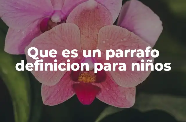 Que es un Parrafo Definicion para Niños
