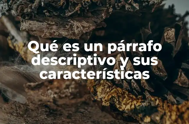 Qué es un Párrafo Descriptivo y Sus Características