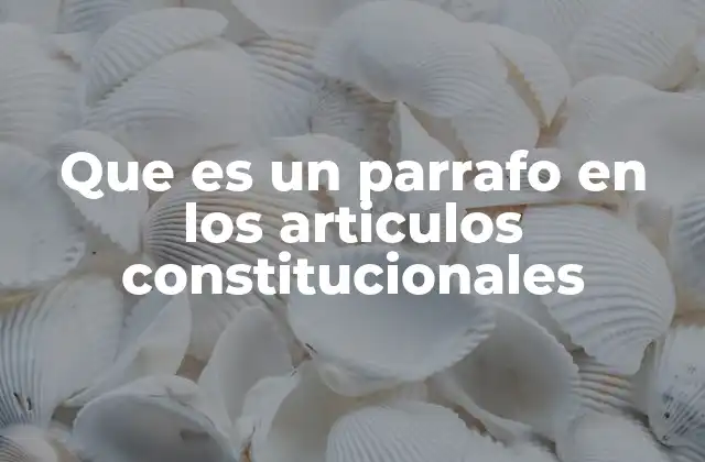 Que es un Parrafo en los Articulos Constitucionales