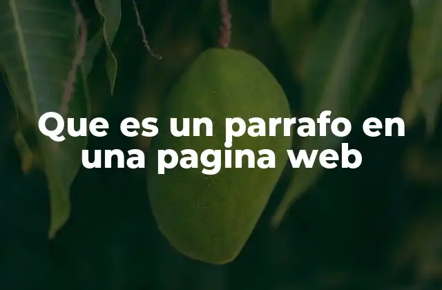 Que es un Parrafo en una Pagina Web