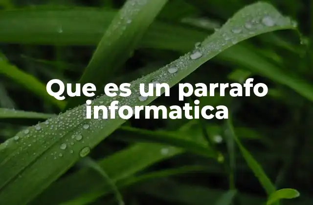 Que es un Parrafo Informatica