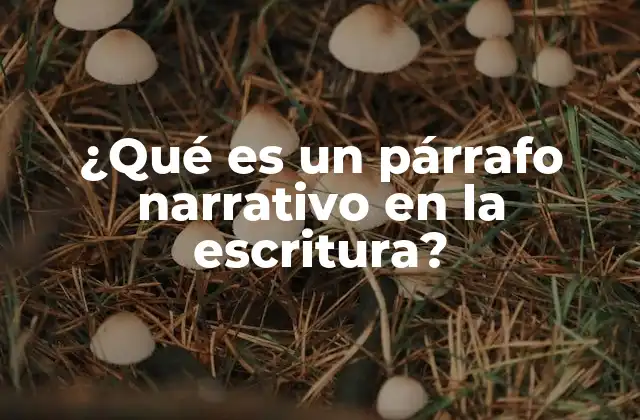 ¿qué es un Párrafo Narrativo en la Escritura?