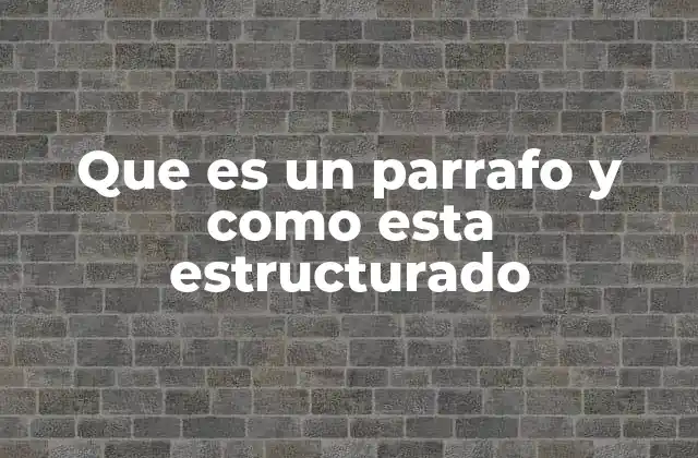 Que es un Parrafo y como Esta Estructurado