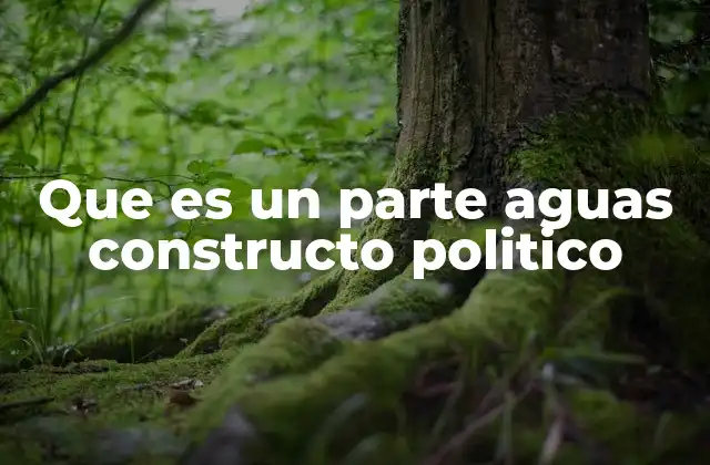 Que es un Parte Aguas Constructo Politico