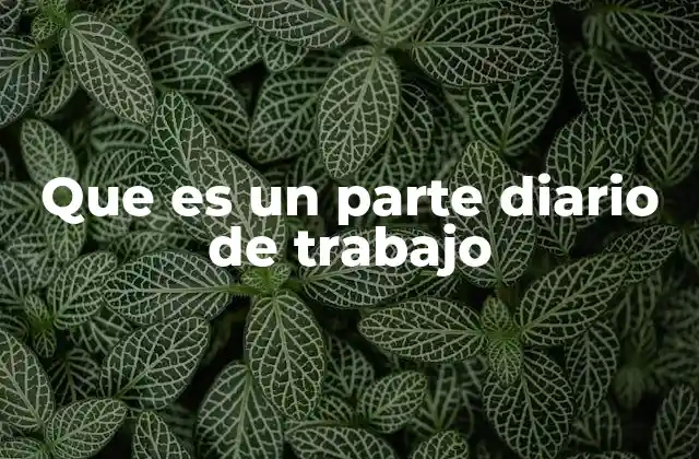 Que es un Parte Diario de Trabajo