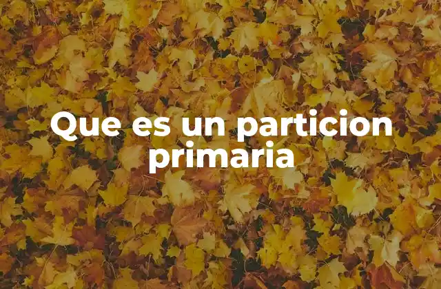 Diferencias entre particiones primarias y lógicas