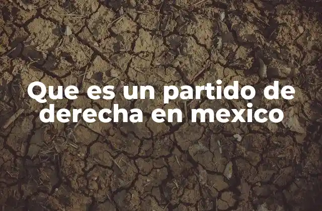 Que es un Partido de Derecha en Mexico