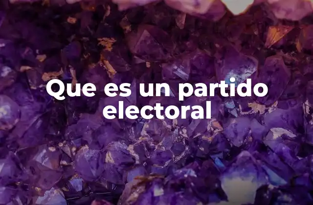 Que es un Partido Electoral