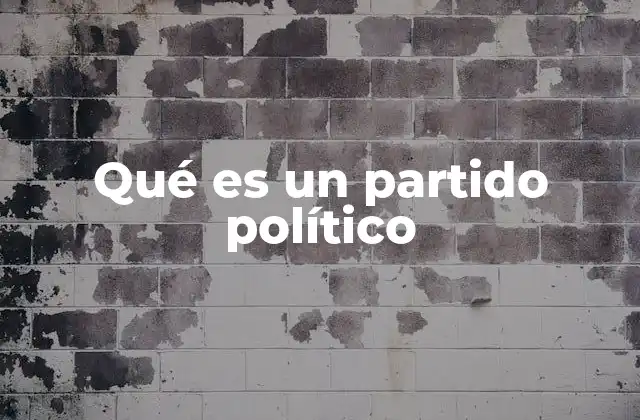 Qué es un Partido Político