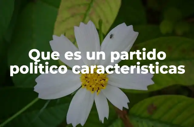 Que es un Partido Politico Caracteristicas