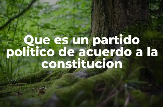 Que es un Partido Politico de Acuerdo a la Constitucion