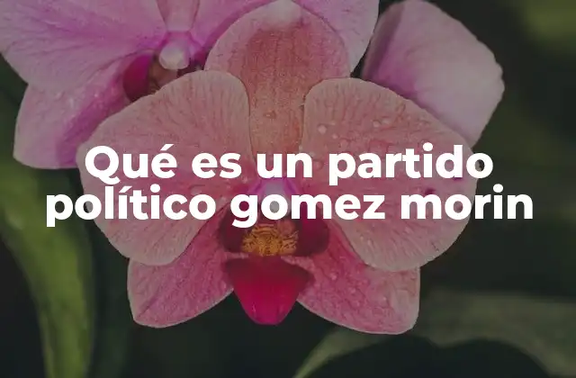 Qué es un Partido Político Gomez Morin