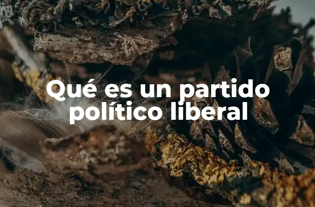 Qué es un Partido Político Liberal