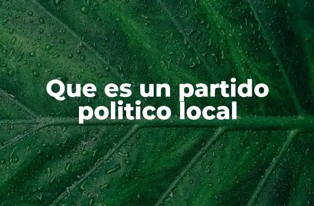 Que es un Partido Politico Local