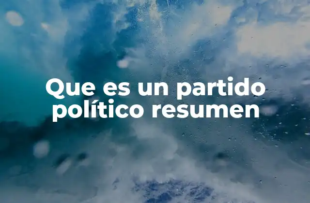 Que es un Partido Político Resumen
