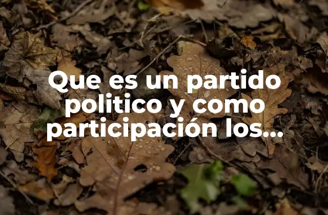 Que es un Partido Politico y como Participación los Jovenes