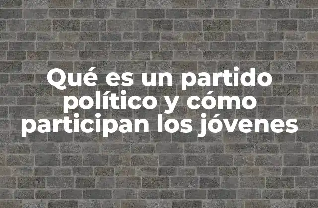 Qué es un Partido Político y Cómo Participan los Jóvenes