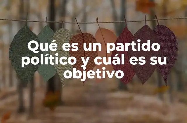Qué es un Partido Político y Cuál es Su Objetivo