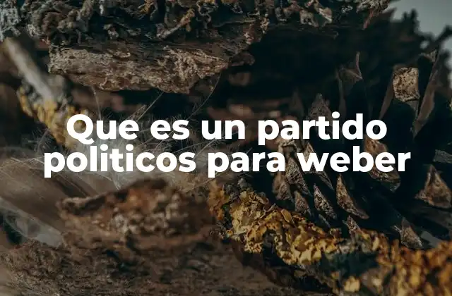 Que es un Partido Politicos para Weber