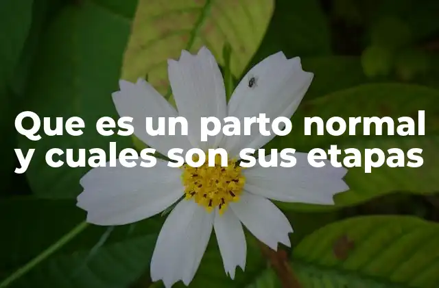 El proceso biológico detrás del nacimiento natural