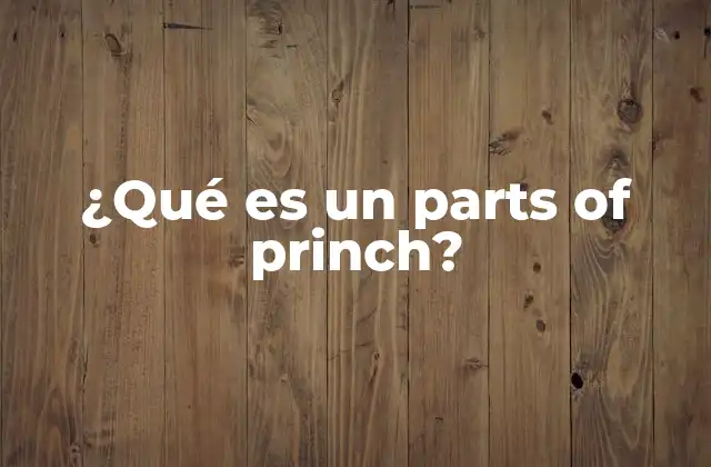 ¿qué es un Parts Of Princh?