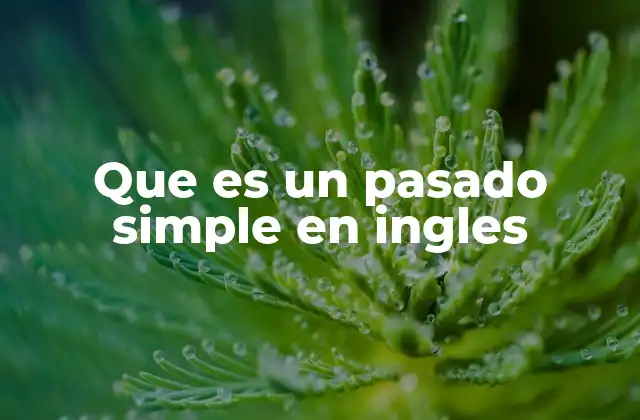 Cómo se forma el pasado simple en inglés