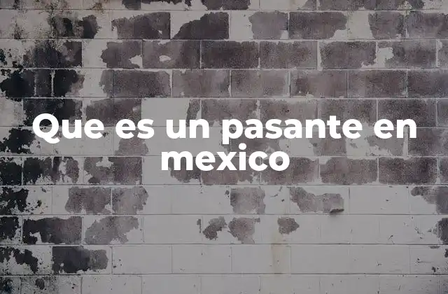 Que es un Pasante en Mexico