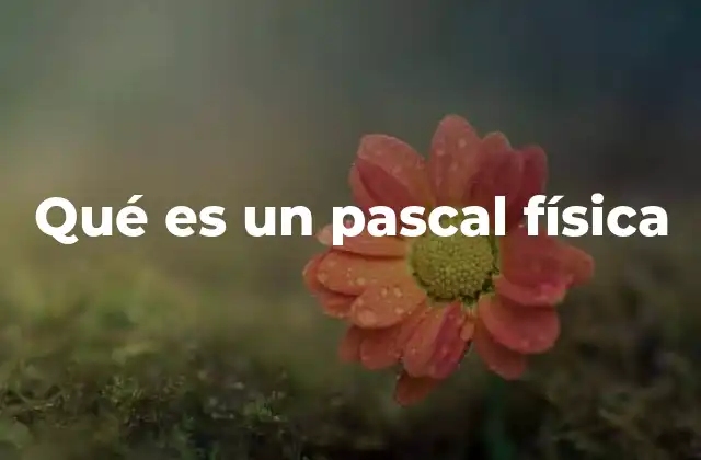 Qué es un Pascal Física